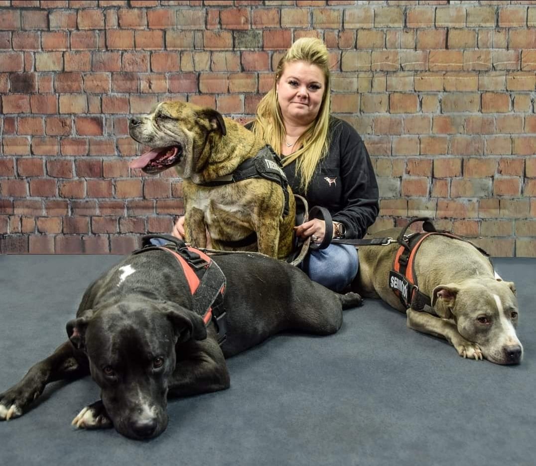 Brandy with therapy dogs